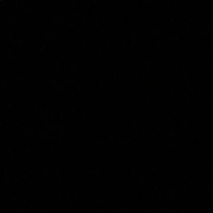 Meet your Posher, Emmie